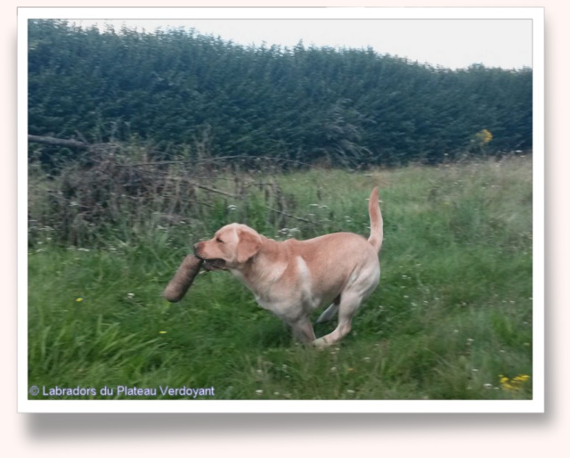 Happy du Plateau Verdoyant