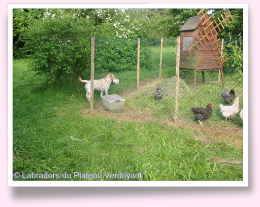 Cliquez pour agrandir l'image