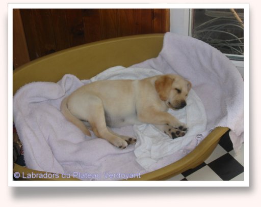 Cliquez pour agrandir l'image