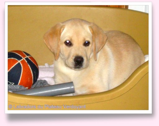 Cliquez pour agrandir l'image