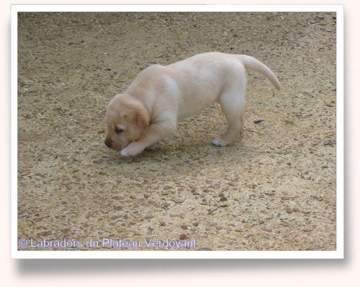 Cliquez pour agrandir l'image