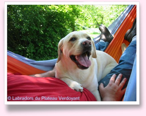 Cliquez pour agrandir l'image