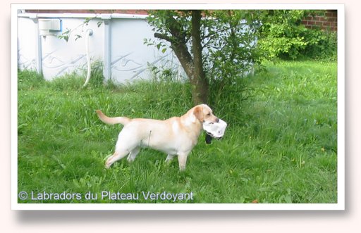 Cliquez pour agrandir l'image